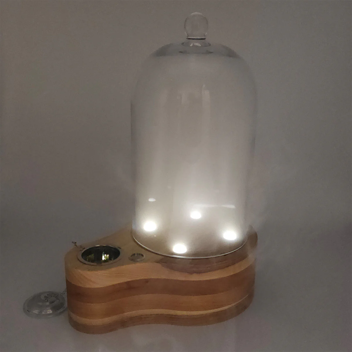 Glass Cocktail Smoker Cloche - Image 16