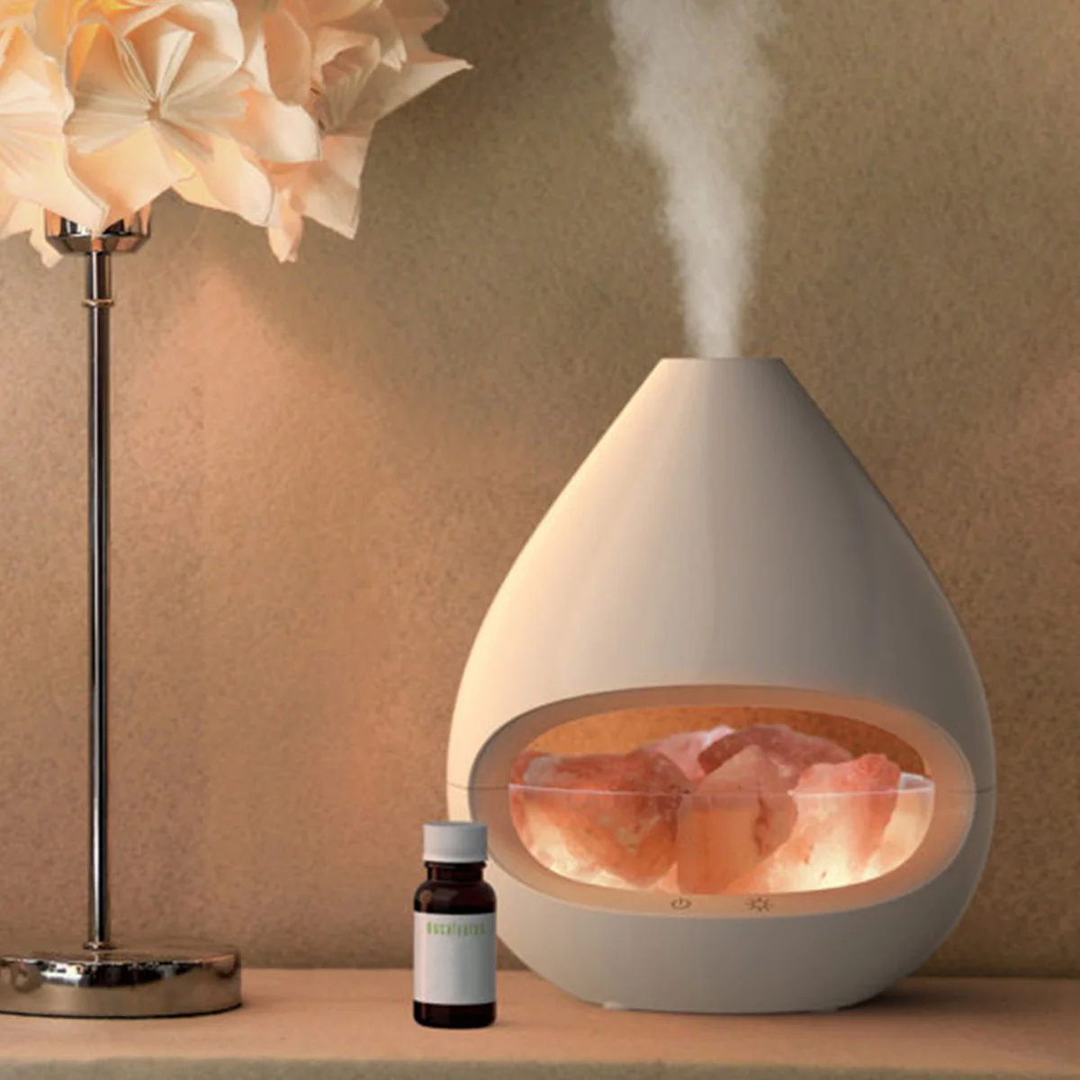 Himalayan Salt Lamp and Diffuser - Image 4