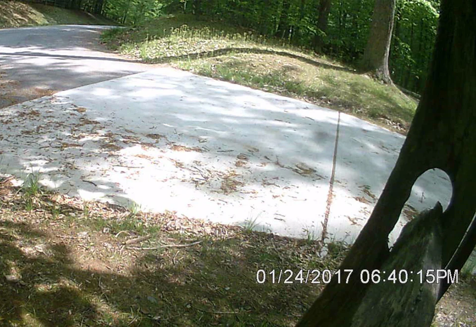 Solar Security Video Camera and Floodlight - Image 5